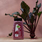 Beetroot Powder